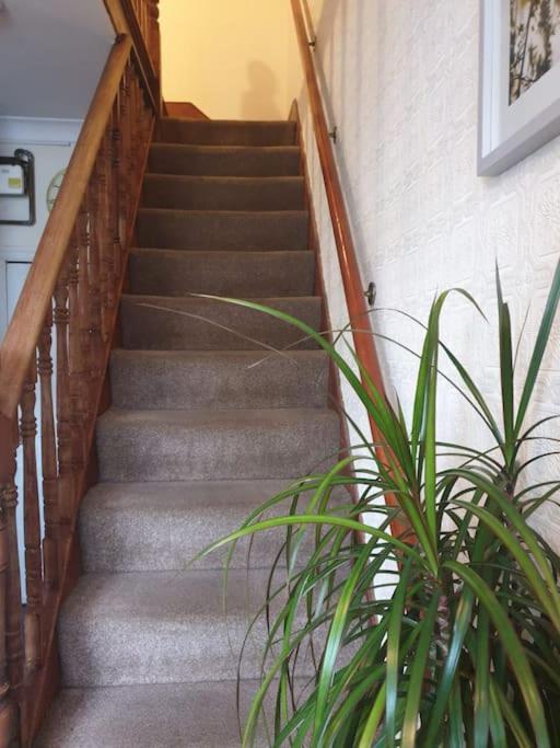 Abbey Wood Spacious Bedroom With Private Bathroom. מראה חיצוני תמונה